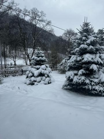 Patysiowka Vila Stronie Śląskie Exterior foto