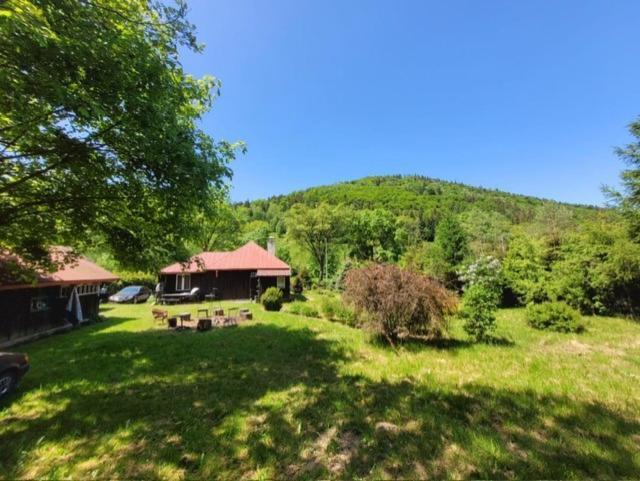 Patysiowka Vila Stronie Śląskie Exterior foto