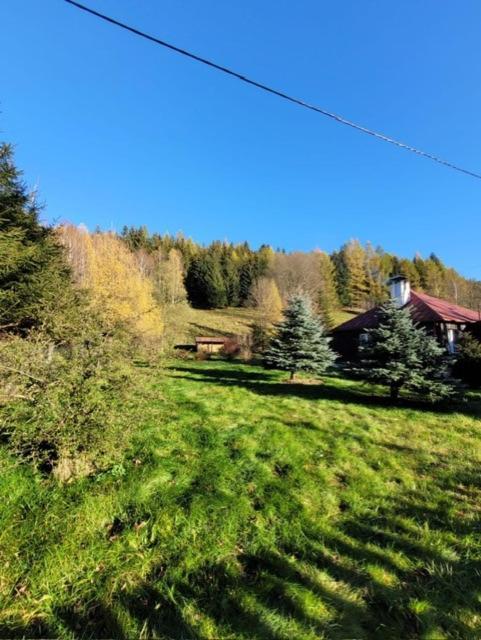 Patysiowka Vila Stronie Śląskie Exterior foto