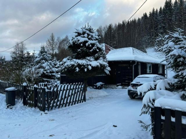 Patysiowka Vila Stronie Śląskie Exterior foto